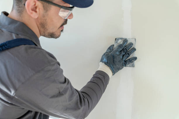 Best Mold Remediation for Vacation Homes  in Staunton, IL