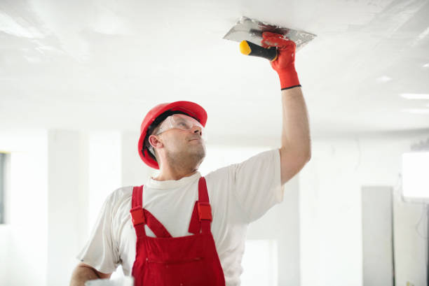 Best Commercial Mold Inspection  in Staunton, IL