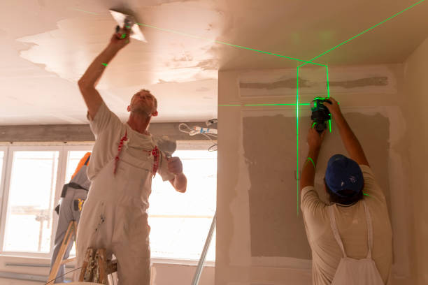 Best Dehumidification Services  in Staunton, IL