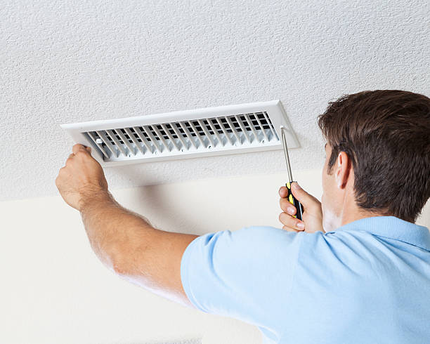 Best Mold Removal for HVAC Installations  in Staunton, IL
