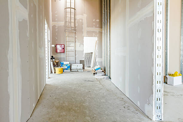 Mold Remediation for Vacation Homes in Staunton, IL
