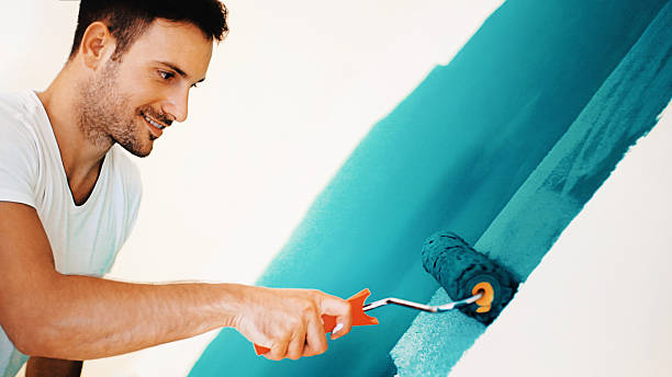 Best Forensic Mold Investigation  in Staunton, IL